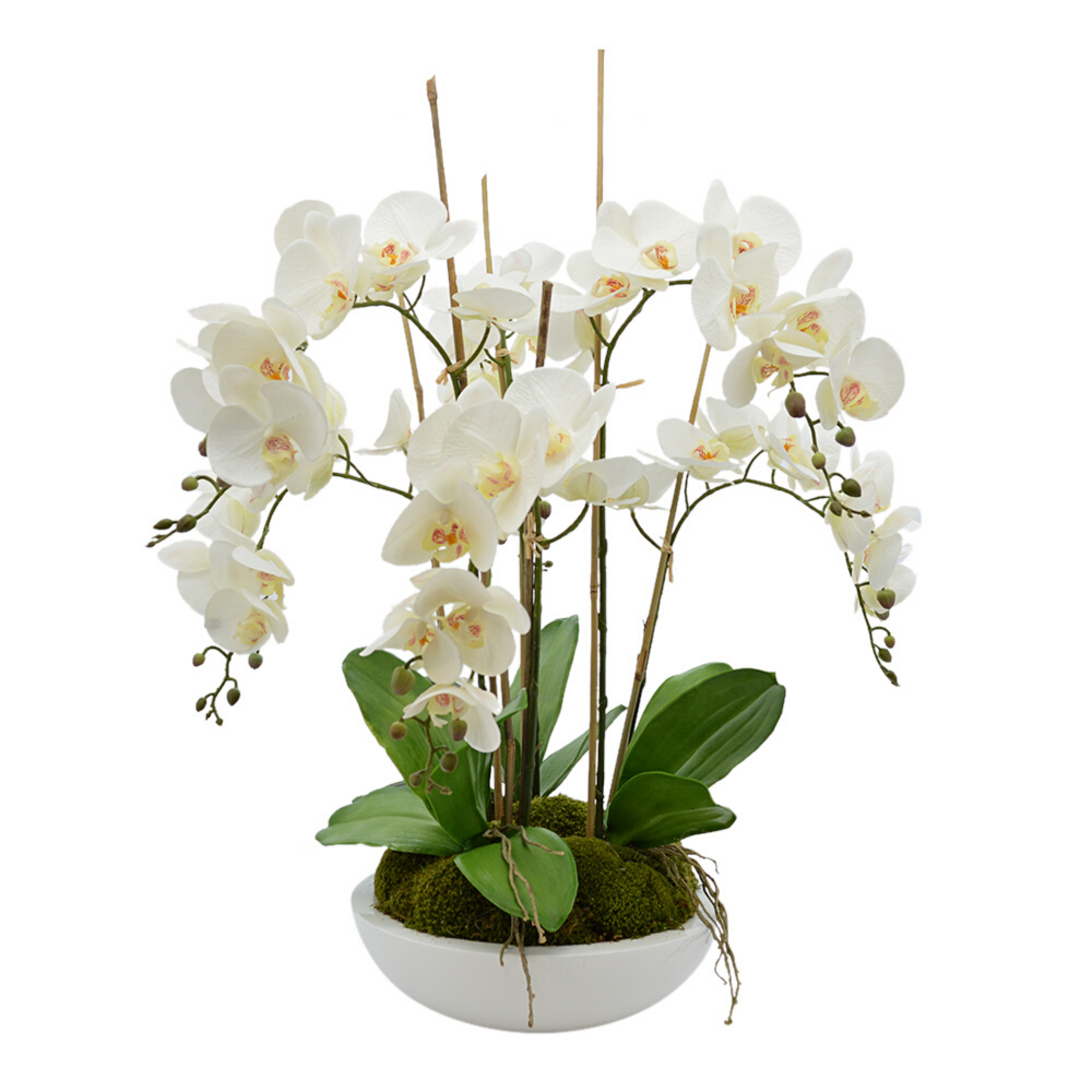 Silk Orchid Flowers Floral Arrangment